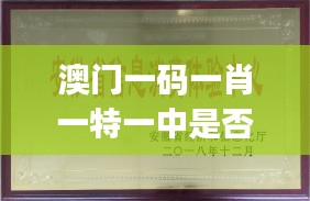 澳门一码一肖一特一中是否合法？计算机科学与技术 JJK6.65.75 优雅版