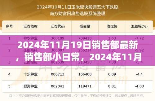 2024年11月19日销售部最新，销售部小日常，2024年11月19日的温馨趣事