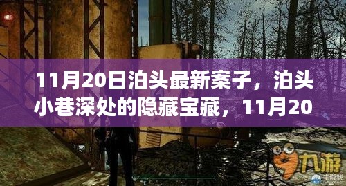 泊头小巷深处的隐藏宝藏，最新探秘之旅（11月20日最新消息）