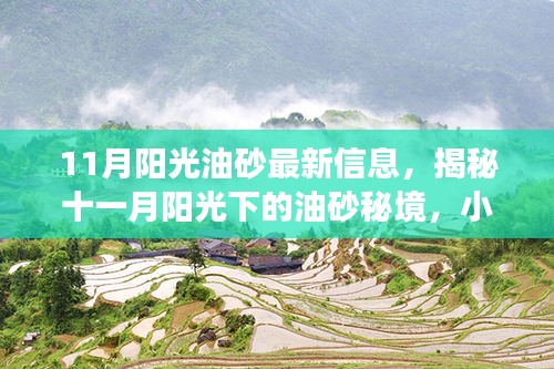 揭秘十一月阳光下的油砂秘境，小巷独特小店之旅的最新信息