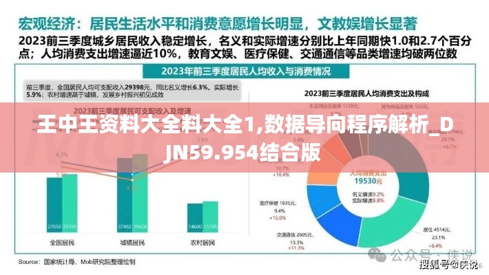 王中王资料大全料大全1,数据导向程序解析_DJN59.954结合版