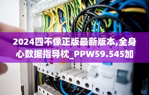 2024四不像正版最新版本,全身心数据指导枕_PPW59.545加速版
