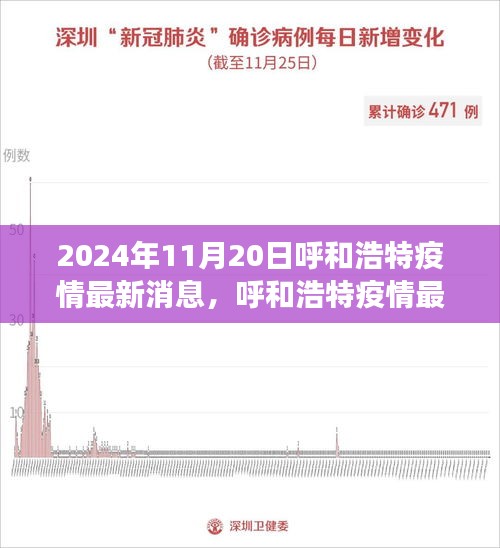 2024年11月20日呼和浩特疫情最新消息解读，聚焦要点分析