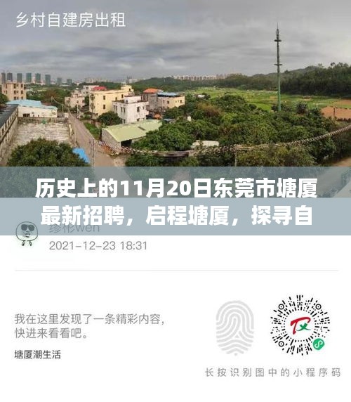 联系我们 第478页