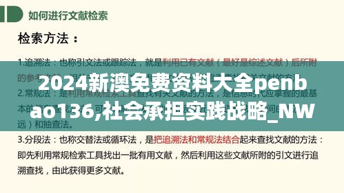 2024新澳免费资料大全penbao136,社会承担实践战略_NWG59.507家居版