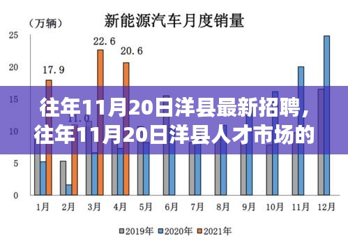 洋县人才市场最新招聘动态概览，历年11月20日招聘信息汇总