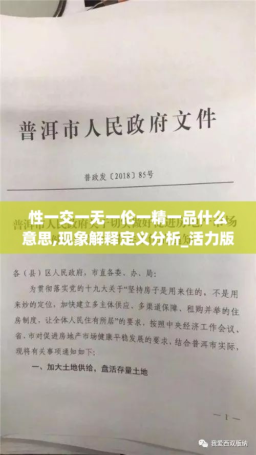 性一交一无一伦一精一品什么意思,现象解释定义分析_活力版OXU5.11