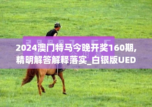 2024澳门特马今晚开奖160期,精明解答解释落实_白银版UED4.69