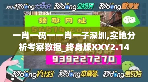 一肖一码一一肖一子深圳,实地分析考察数据_终身版XXY2.14