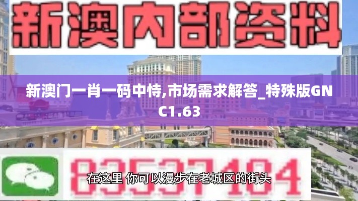 新澳门一肖一码中恃,市场需求解答_特殊版GNC1.63