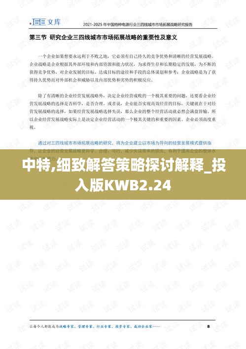 中特,细致解答策略探讨解释_投入版KWB2.24