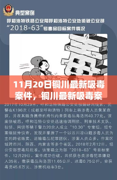 11月20日铜川最新吸毒案件，铜川最新吸毒案件深度解析，警钟长鸣，警惕毒品危害