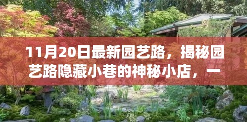 园艺路隐藏小巷神秘小店，绿色探索之旅揭秘