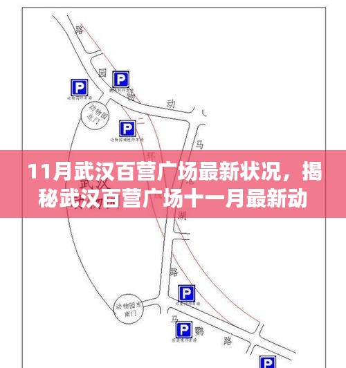 揭秘武汉百营广场最新动态，十一月一站式任务指南