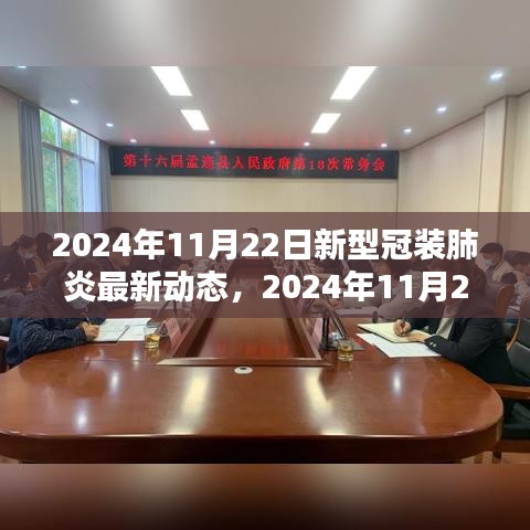 2024年11月22日新型冠装肺炎最新动态更新