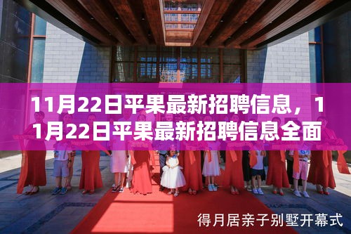 11月22日平果最新招聘信息全面解析与评测