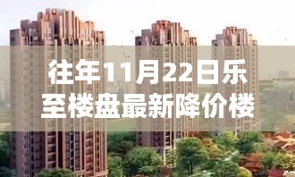 往年11月22日乐至楼盘最新降价楼盘，乐至楼盘最新降价信息，揭秘往年11月22日降价楼盘背后的秘密