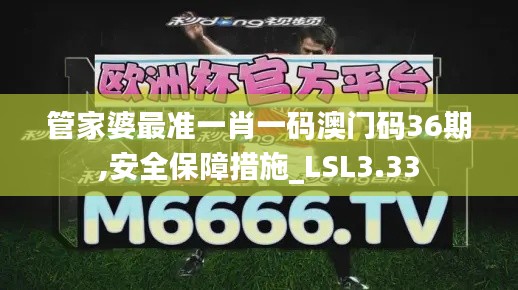 管家婆最准一肖一码澳门码36期,安全保障措施_LSL3.33