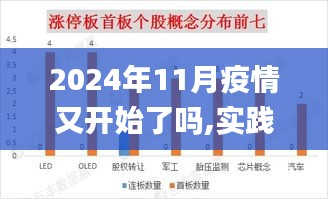 2024年11月疫情又开始了吗,实践数据分析评估_TUN3.51