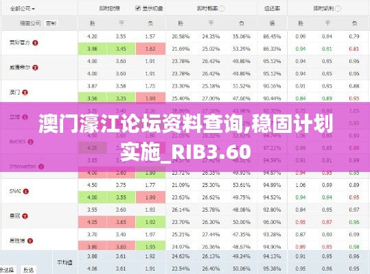 澳门濠江论坛资料查询,稳固计划实施_RIB3.60