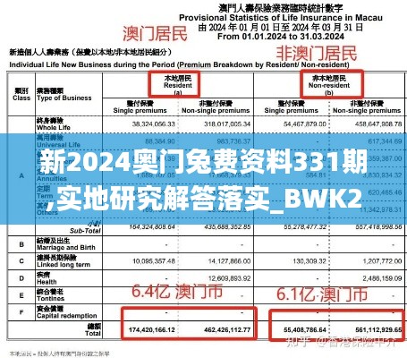 新2024奥门兔费资料331期,实地研究解答落实_BWK2.55