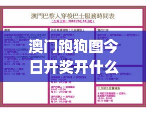 犯而不校 第6页