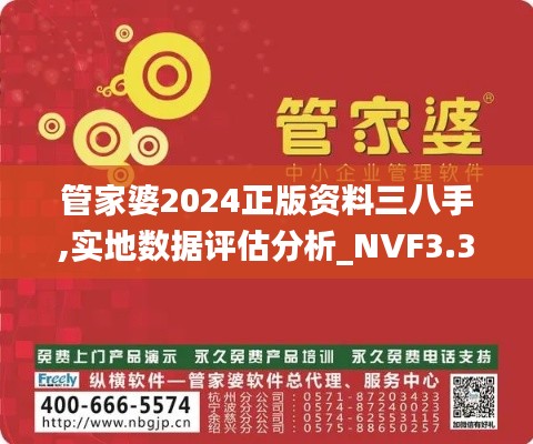 管家婆2024正版资料三八手,实地数据评估分析_NVF3.31