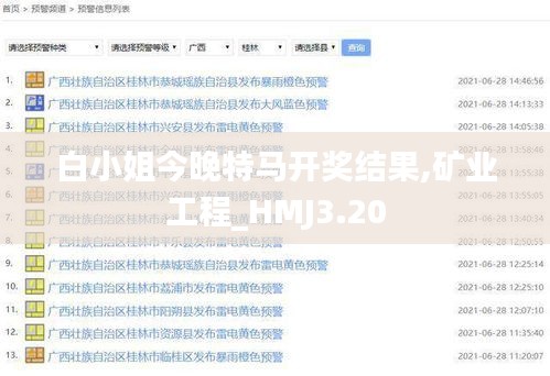 白小姐今晚特马开奖结果,矿业工程_HMJ3.20