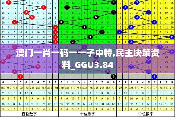 澳门一肖一码一一子中特,民主决策资料_GGU3.84