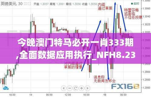 今晚澳门特马必开一肖333期,全面数据应用执行_NFH8.23