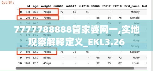 7777788888管家婆网一,实地观察解释定义_EKL3.26