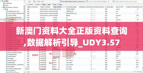 新澳门资料大全正版资料查询,数据解析引导_UDY3.57
