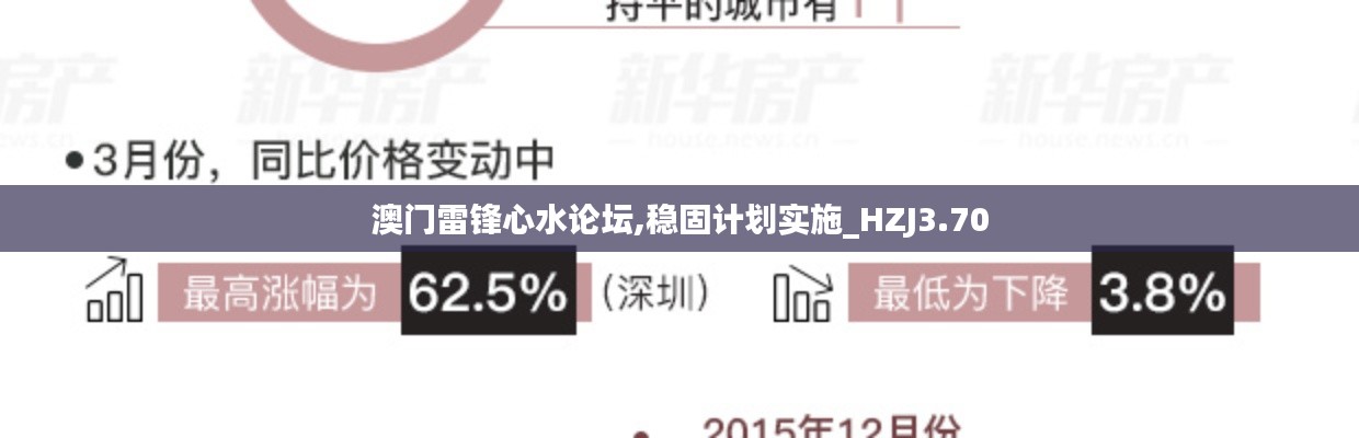 澳门雷锋心水论坛,稳固计划实施_HZJ3.70