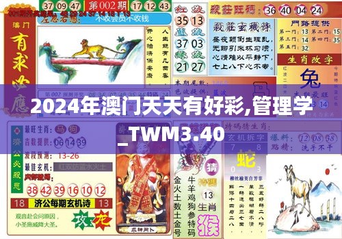 2024年澳门天天有好彩,管理学_TWM3.40