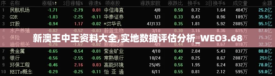 新澳王中王资料大全,实地数据评估分析_WEO3.68
