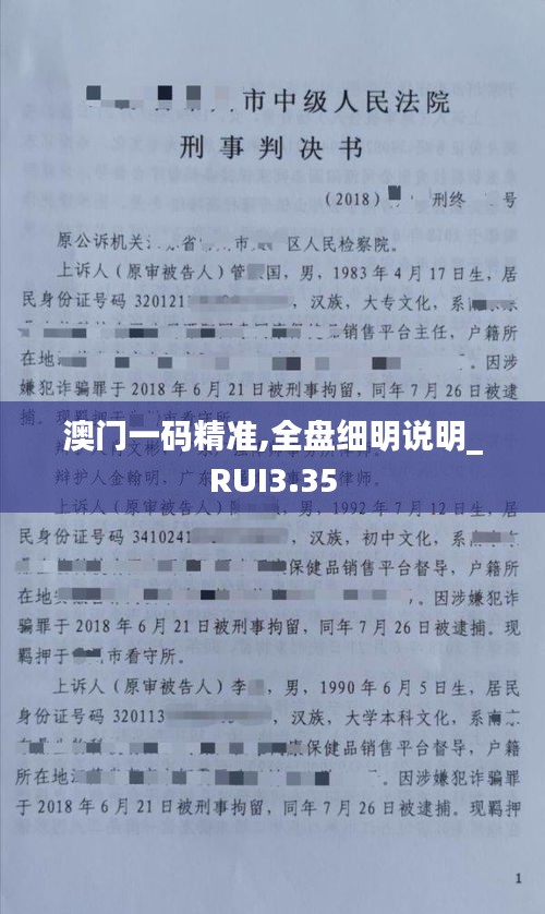 澳门一码精准,全盘细明说明_RUI3.35