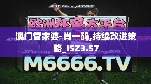 澳门管家婆-肖一码,持续改进策略_ISZ3.57
