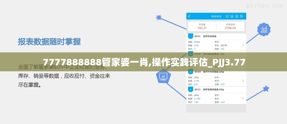 7777888888管家婆一肖,操作实践评估_PJJ3.77