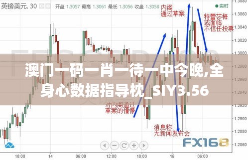 澳门一码一肖一待一中今晚,全身心数据指导枕_SIY3.56