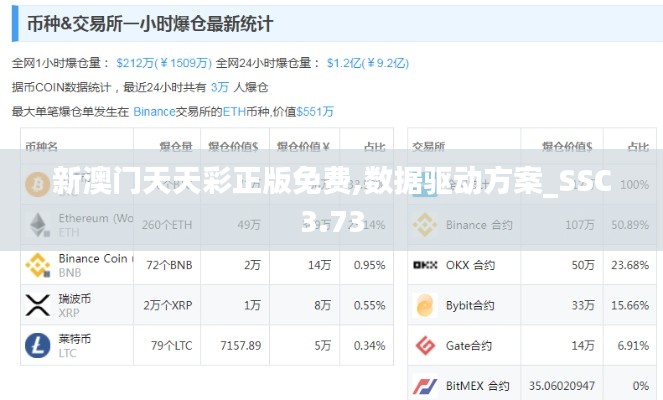 新澳门天天彩正版免费,数据驱动方案_SSC3.73