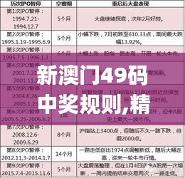 新澳门49码中奖规则,精准分析实践_EWY3.25