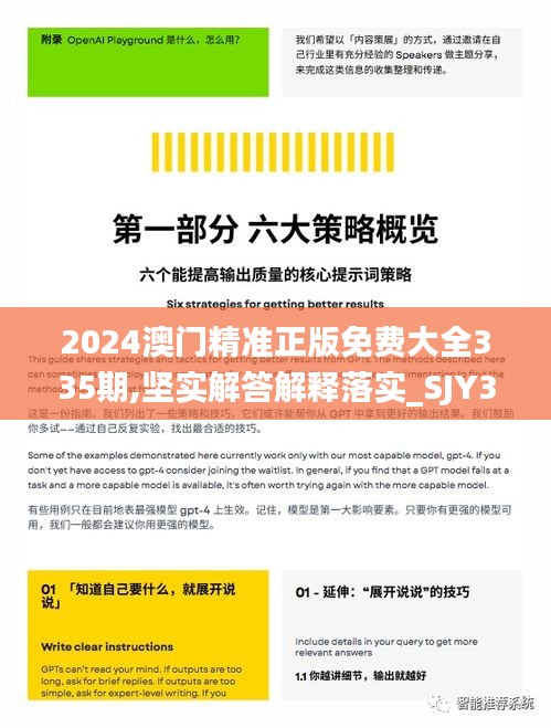2024澳门精准正版免费大全335期,坚实解答解释落实_SJY3.30