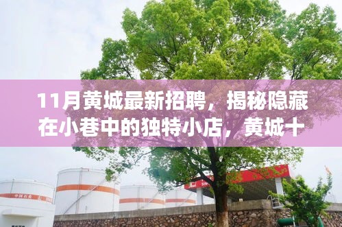 笨鸟先飞 第6页