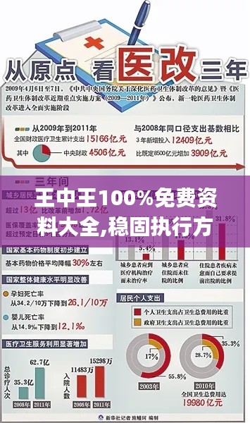 王中王100%免费资料大全,稳固执行方案计划_BKA3.95