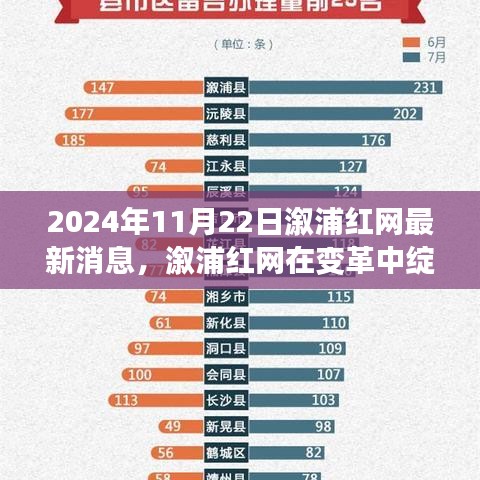 溆浦红网变革中的最新消息与深度评测（2024年11月版）