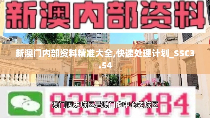 新澳门内部资料精准大全,快速处理计划_SSC3.54