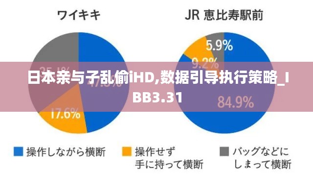 日本亲与子乱偷iHD,数据引导执行策略_IBB3.31