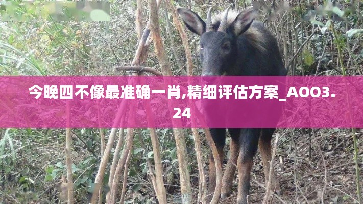 朱唇粉面 第6页