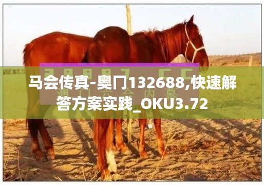 马会传真-奥冂132688,快速解答方案实践_OKU3.72