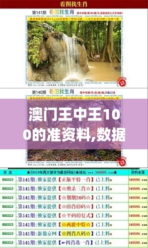 澳门王中王100的准资料,数据导向计划_HKR3.16
